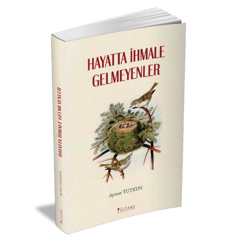 Hayatta Ihmale Gelmeyenler - Aynur Tutkun